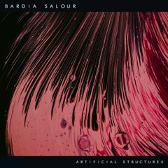 Bardia Salour - Disclosed