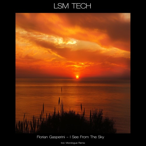 Florian Gasperini - I See From the Sky (Original Mix)