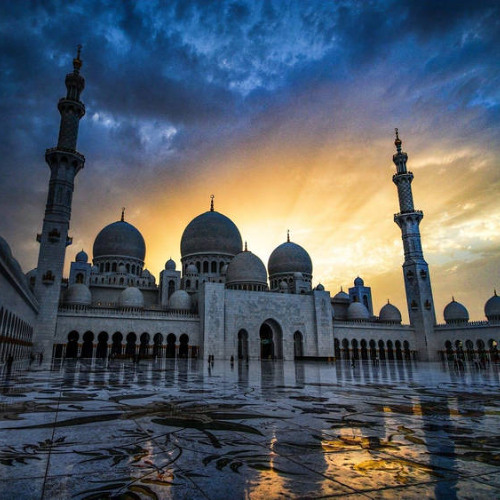 تلاوة هادئة من سورة هود فجر 29 رمضان 1446هـ مسجد الصالحين