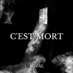 C'est Mort (prod. By NehziaS)