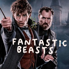 Fantastic Beasts, Recap - Hot Garbage, Little Magic
