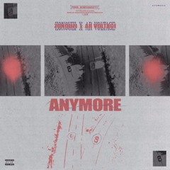 Anymore(feat. Zoot & AR Voltage)[Prod. Newshagotit]