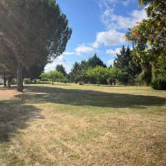 Green Fields of Ramouzens