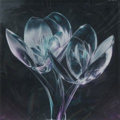 Flower Nest (Extanded mix)