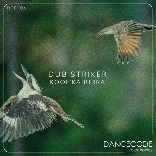 Dub Striker - Kool'Kaburra
