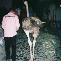 09 FOUND IN MALLORCA MIX