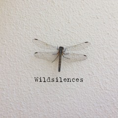 No one is listening (Ambient version)