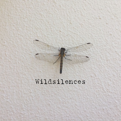 No one is listening (Ambient version)