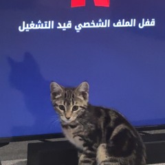 Work Hard Play Hard (Hardstyle) (Zyzz) (Sickkunt) 🔱