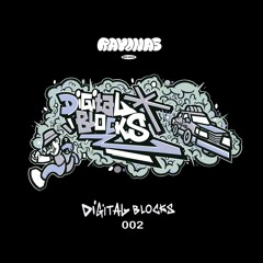 Rayonas Records - Digital Blocks 002 Previews