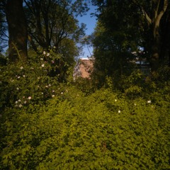Unbury