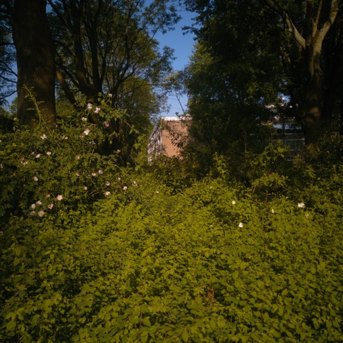 Unbury