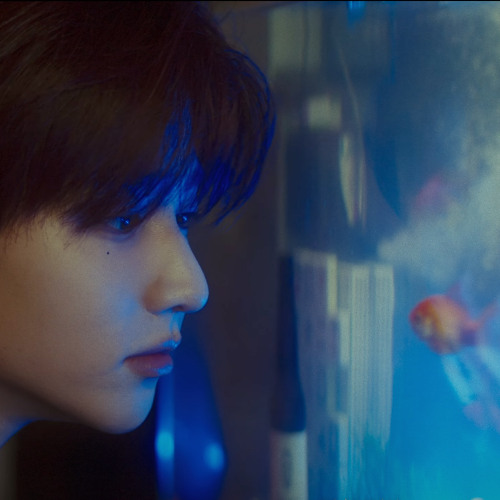 喂 - 장하오(ZHANG HAO)