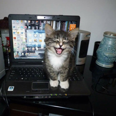 SMACK ONE X WITHOUT YOU