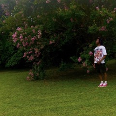 HMWYL (ft. Tyxonsmith) [lil fari]
