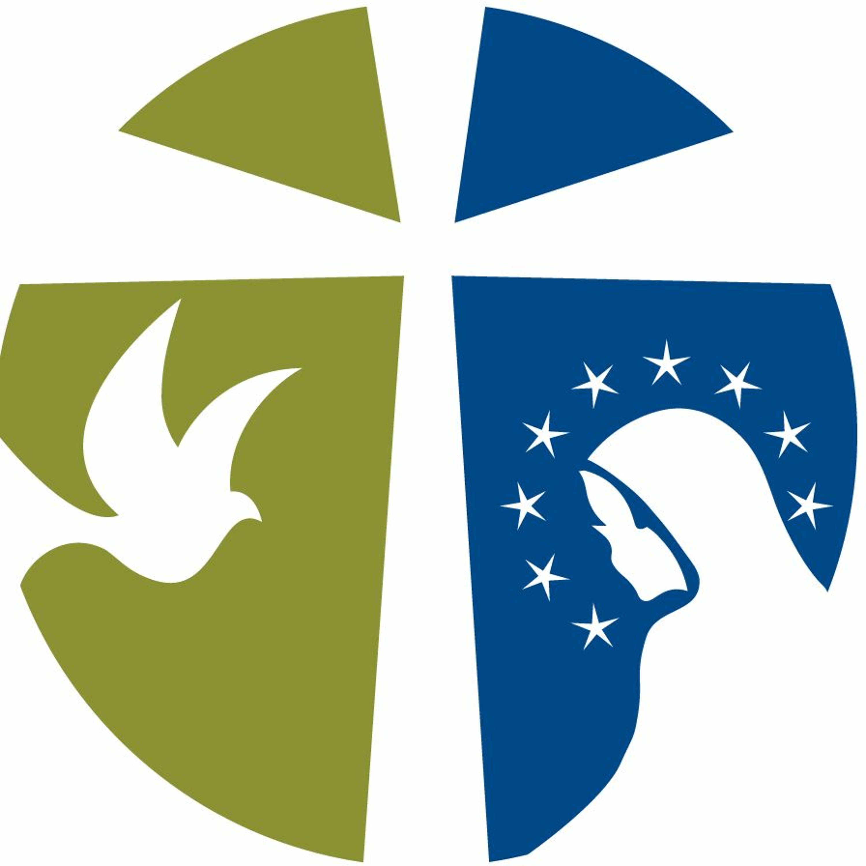 Mary Queen of Peace Sermons
