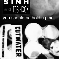 you should be holding me.mp3 FT. TDS.HOOK