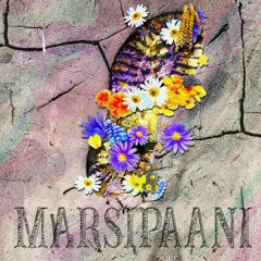 Marsipaani (mkoo,tapsa2K,95deville)