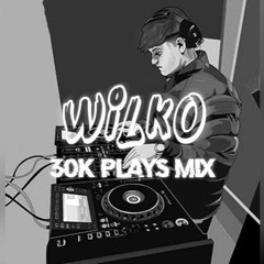 WILKO - 30K PLAYS MIX