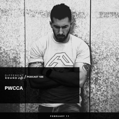 DifferentSound invites PWCCA [live] / Podcast #186