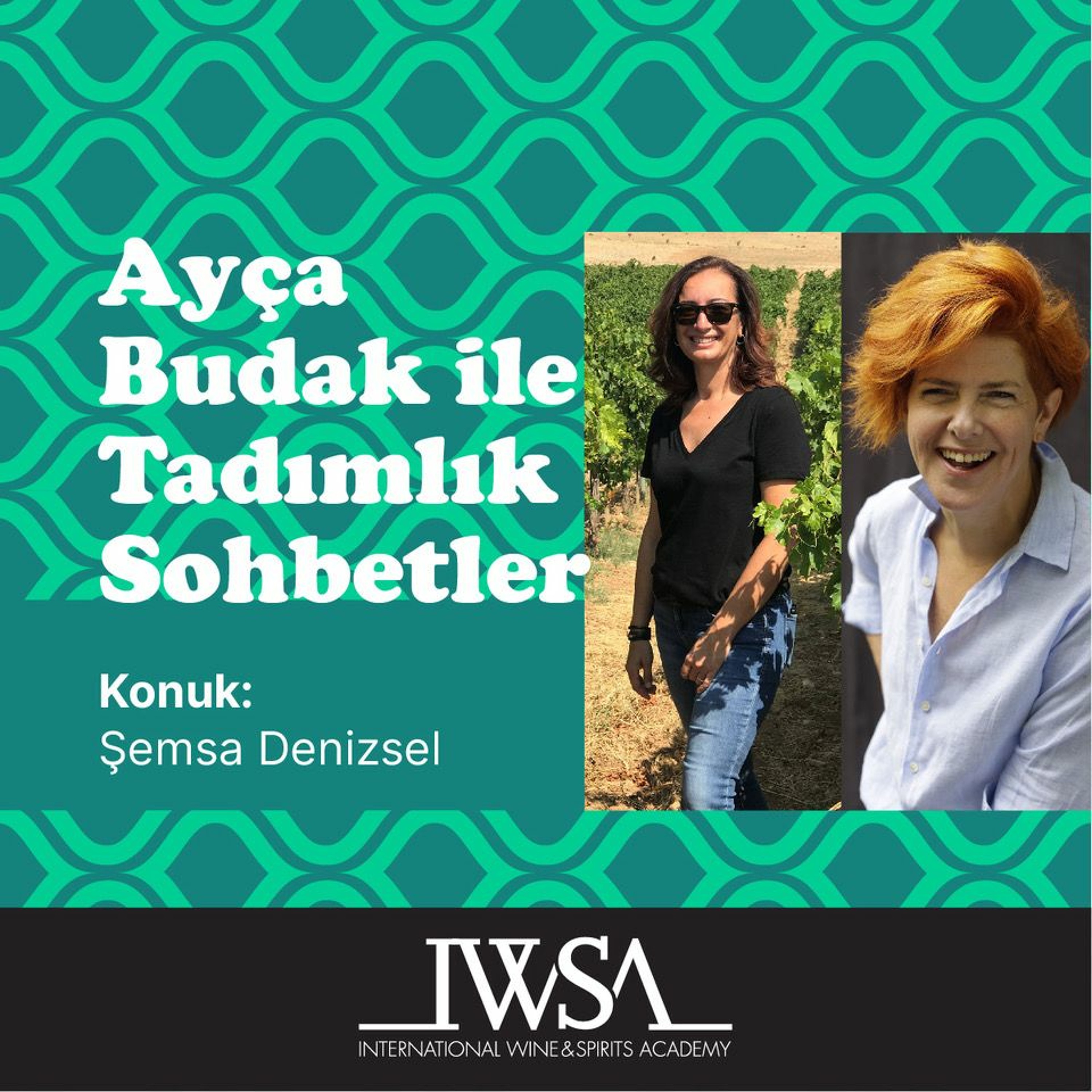 Ayça Budak ile Tadımlık Sohbetler