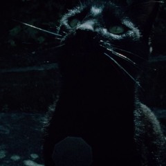 toheart (get down from there)