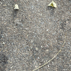 the future in the past