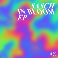 B1. Sasch - Cham (Original Mix) - [RBVS11]