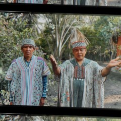 The Last Shaman Icaros | APL Retreats