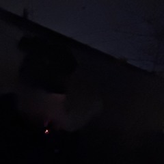 shedont prod violetnight