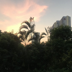 Inward, Hidden Parts (I Am Made So Awesomely)