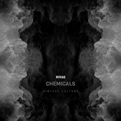 Chemicals - Vintage Culture (Vincent Remix)(Vocals Partly Removed Due To Copyright)