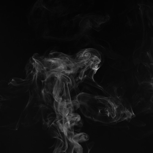 words you never said