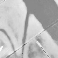 Disgo Opo - Adentro Canto .......