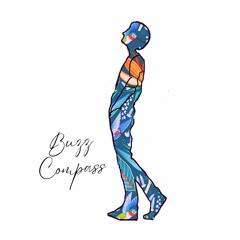 Nova Funk Mix. 24 - Buzz Compass
