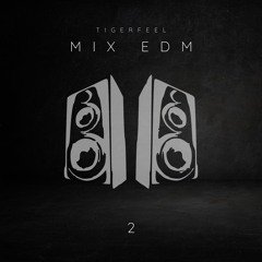 Mix EDM Tigerfeel (Dynamique)