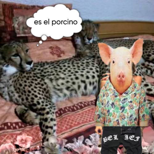 FISURAS QUE TOMAN KETA (QUE RICO)