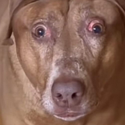 07’ Flow (PROD BY CURT!) - MDE Tae