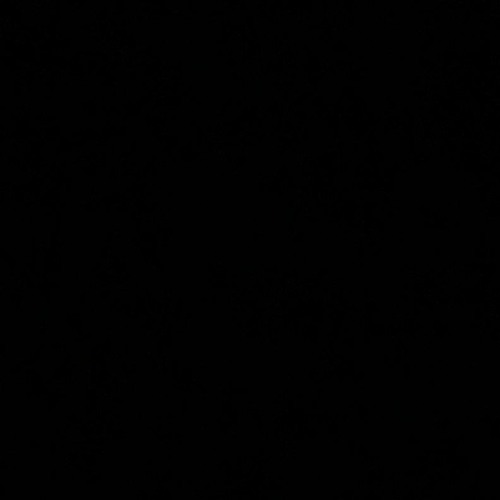 يا راحل وين الشير - علي بن روغة