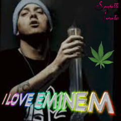 SLIM AND SHADY