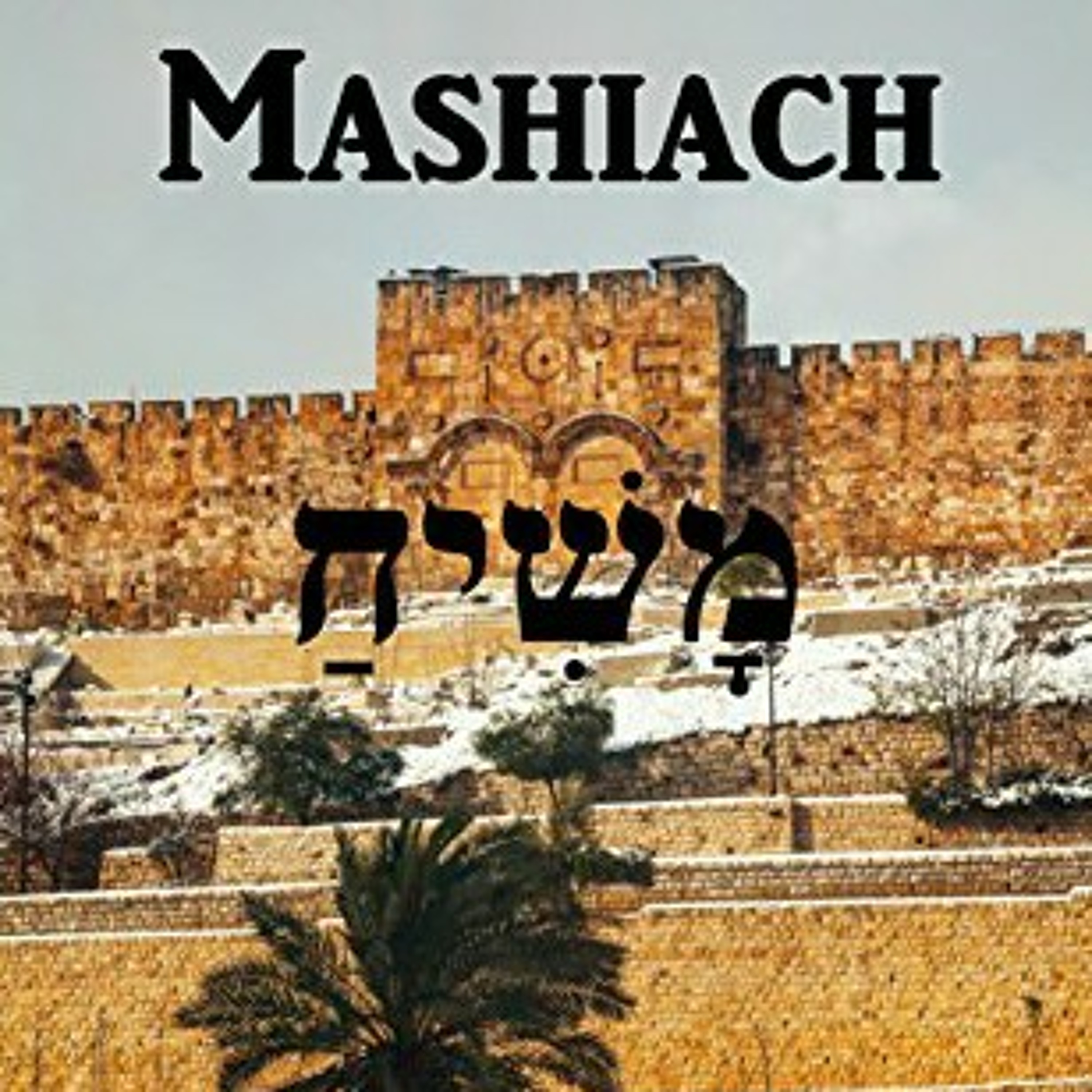Rabino Eliahu Stiefelmann