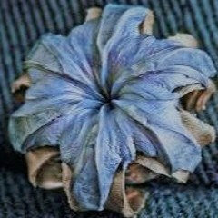 ホローポイント