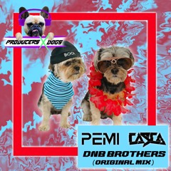 Pemi & Casca- DnB BROTHERS