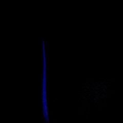 Blue Trees