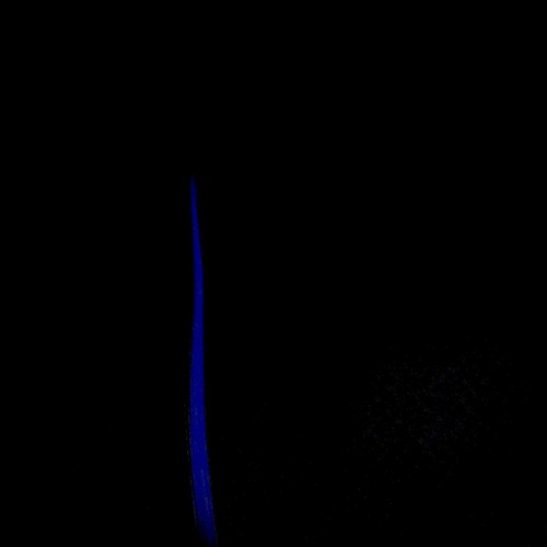 Blue Trees