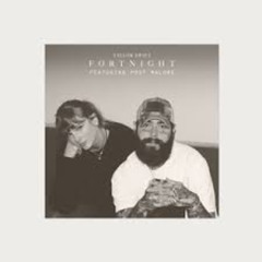 Fortnight - Taylor Swift