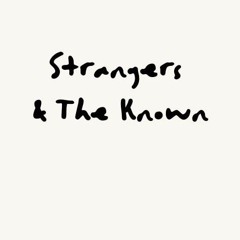 Good luck, babe! - Chappell Roan (Cover by Strangers and The Known)