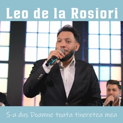 Sa dus doamne toata tineretea mea (Live)