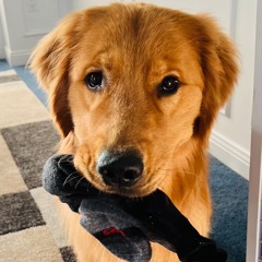 I LOVE YOU BUT YOU'RE DIVING ME F'ING CRAZY