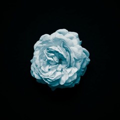 Blue Rose - Bad Mind (prod. LukeXI, EddieB & capsctrl)